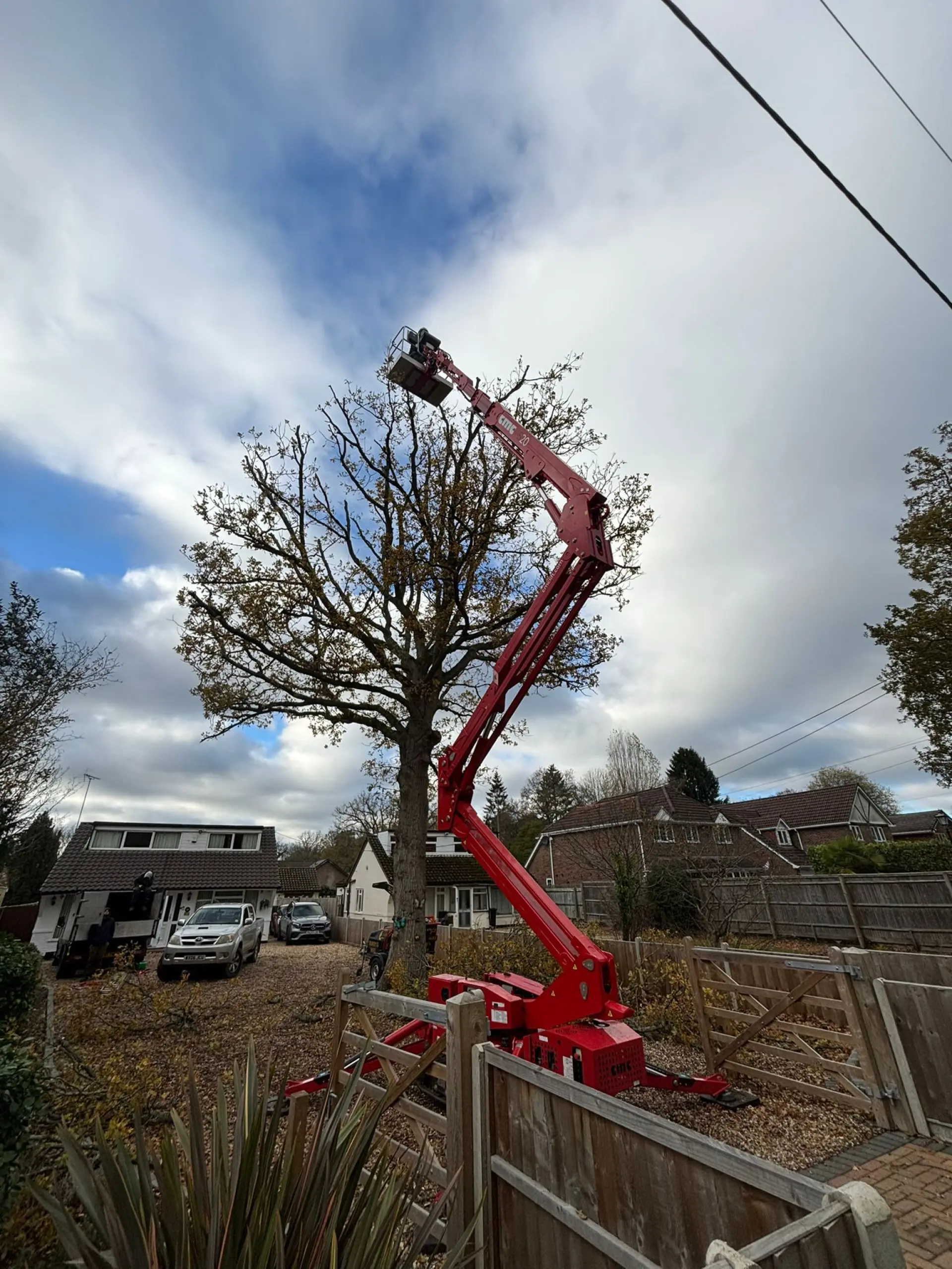 Tree Pruning Reading and Andover 
