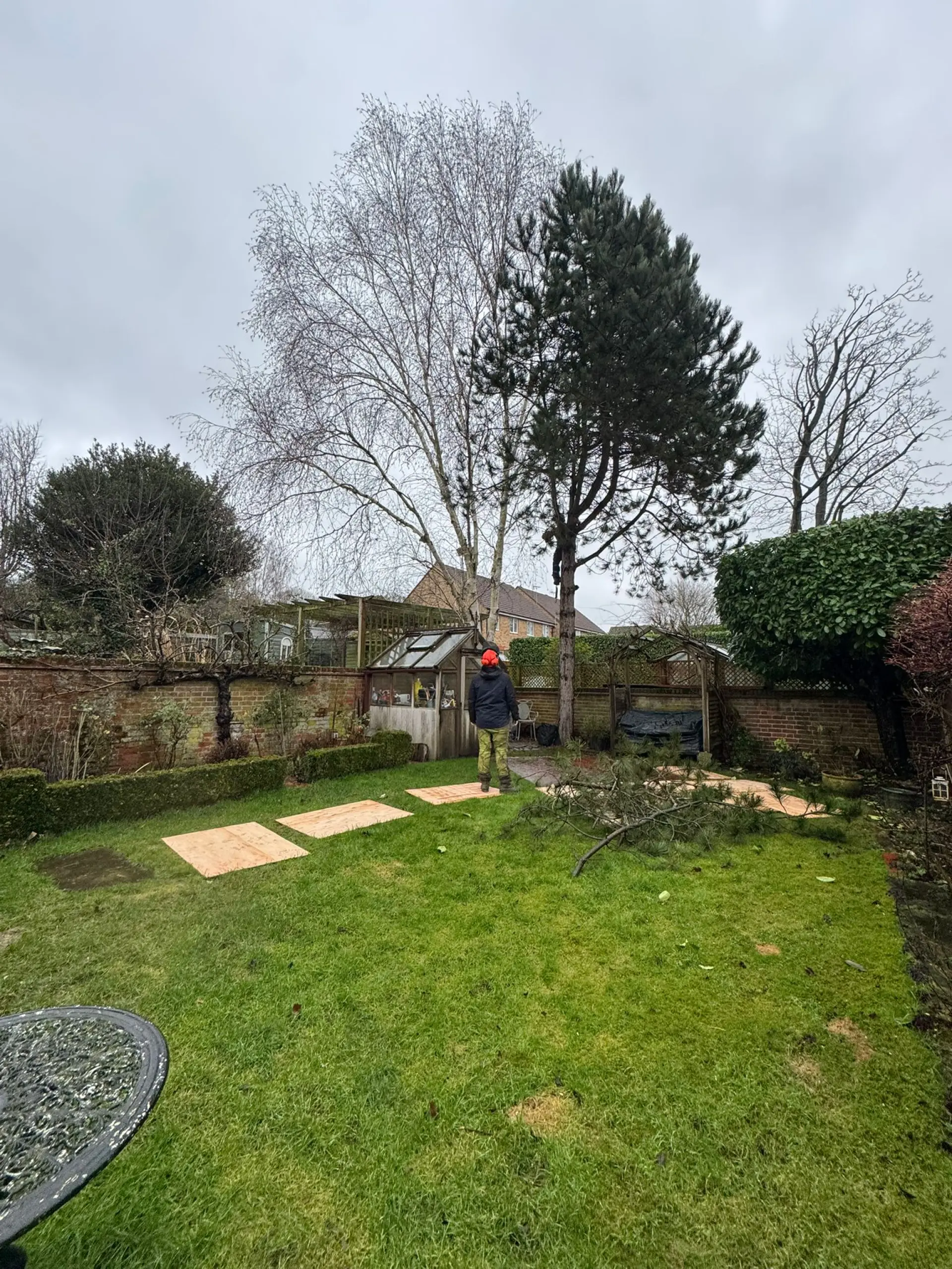  24/7 Tree Surgery Reading