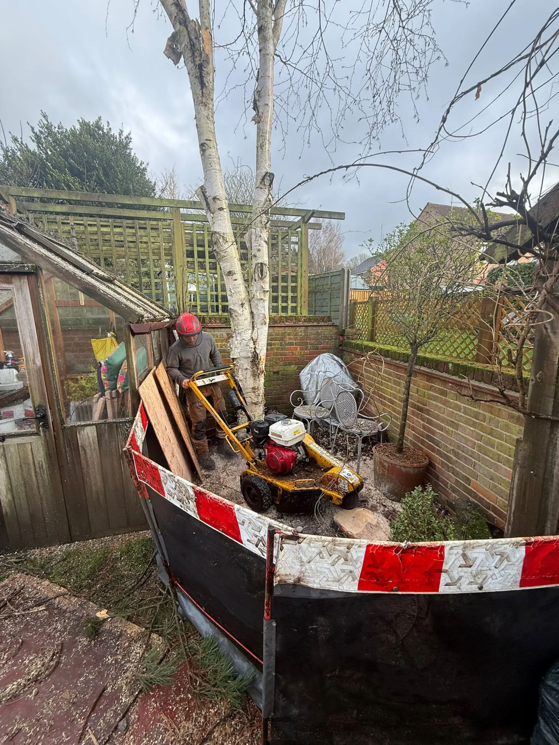 Stump Grinding Basingstoke and Andover 