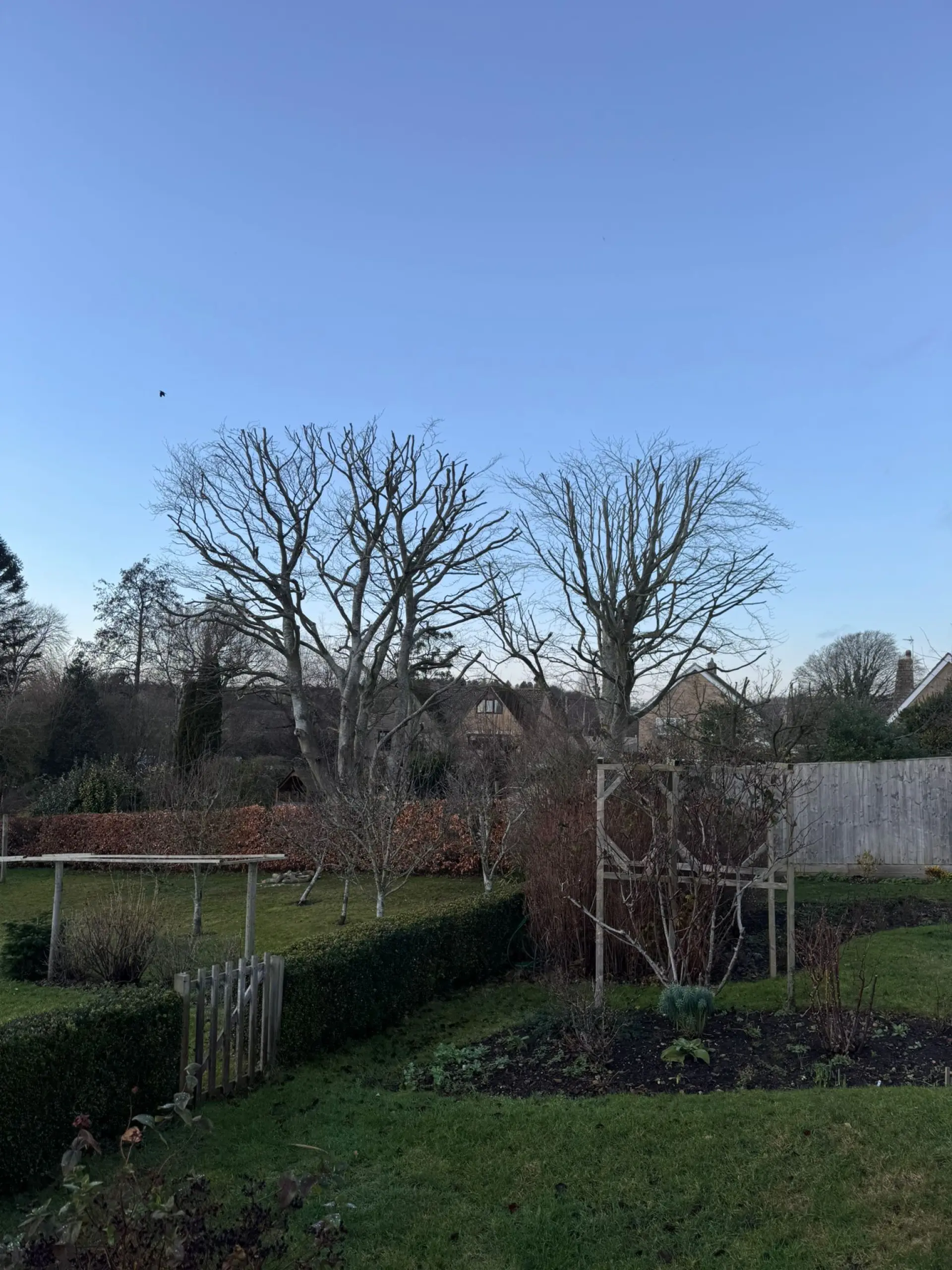 Garden Waste Clearance Services Reading, Basingstoke and Andover 